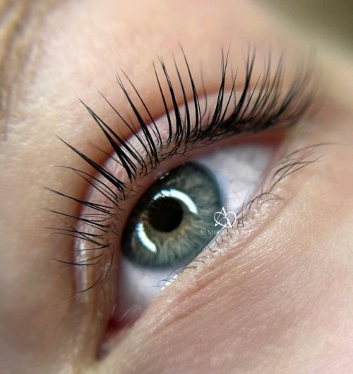 LASHES LASHES